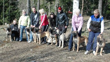 8 pups from A-litter 200408